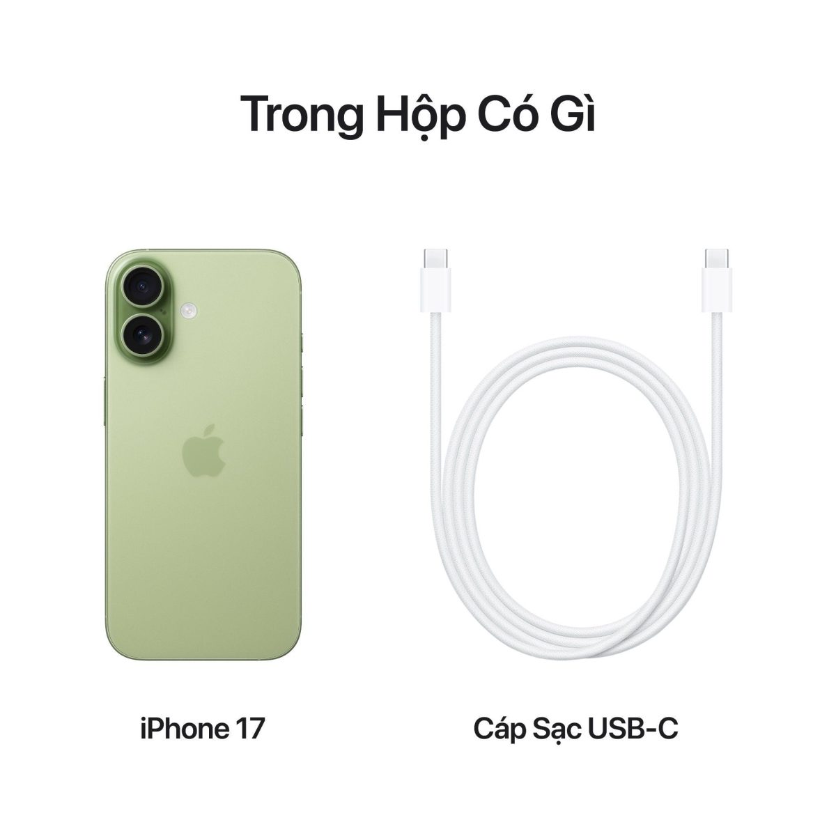iPhone 17 - Ảnh 10