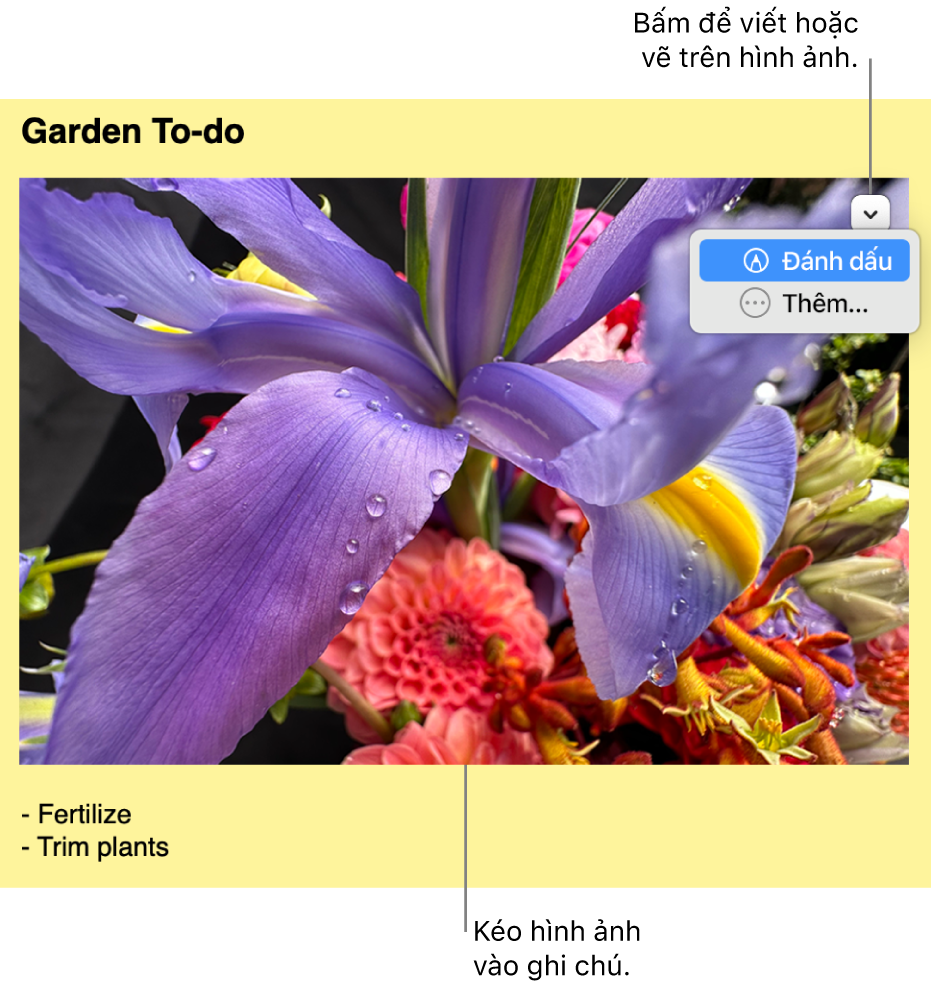 Một giấy ghi chú đang mở với một hình ảnh.