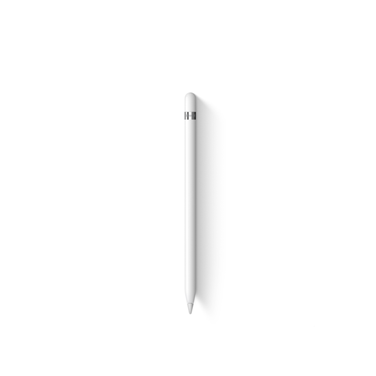 pen Apple Pencil C - Ảnh 1